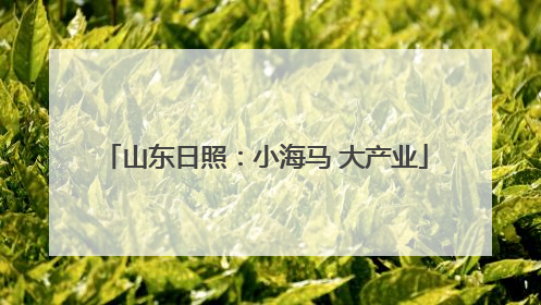 山东日照：小海马 大产业