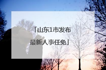山东1市发布最新人事任免