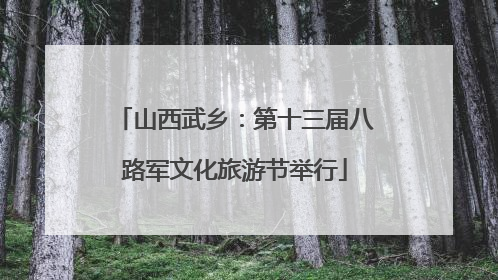山西武乡：第十三届八路军文化旅游节举行