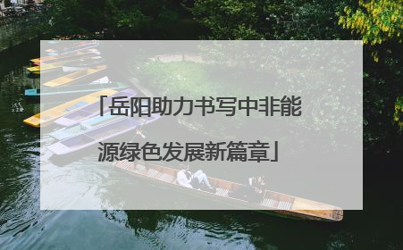岳阳助力书写中非能源绿色发展新篇章