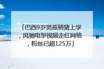 巴西9岁男孩骑猪上学，风驰电掣视频走红网络，粉丝已超125万