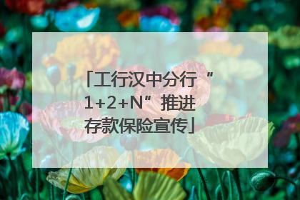 工行汉中分行“1+2+N”推进存款保险宣传