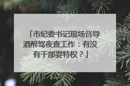 市纪委书记现场督导酒醉驾夜查工作：有没有干部耍特权？