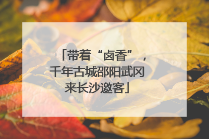 带着“卤香”，千年古城邵阳武冈来长沙邀客