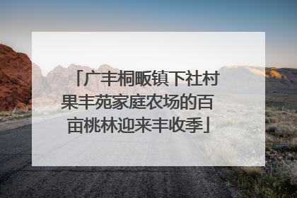 广丰桐畈镇下社村果丰苑家庭农场的百亩桃林迎来丰收季