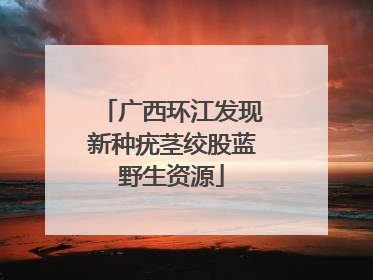 广西环江发现新种疣茎绞股蓝野生资源