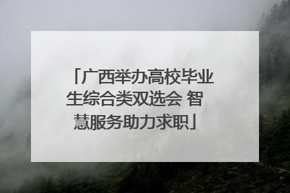 广西举办高校毕业生综合类双选会 智慧服务助力求职