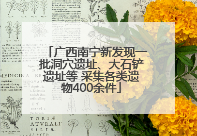 广西南宁新发现一批洞穴遗址、大石铲遗址等 采集各类遗物400余件