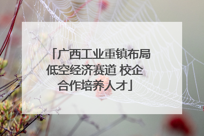 广西工业重镇布局低空经济赛道 校企合作培养人才