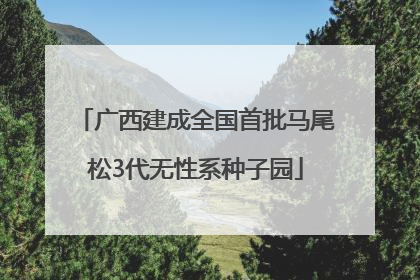 广西建成全国首批马尾松3代无性系种子园