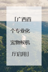 广西首个专业化宠物候机厅启用