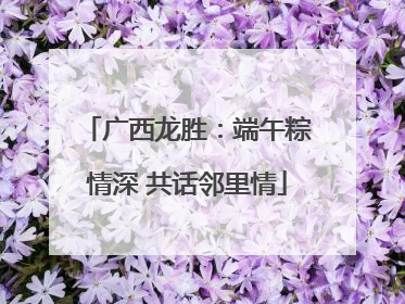 广西龙胜：端午粽情深 共话邻里情