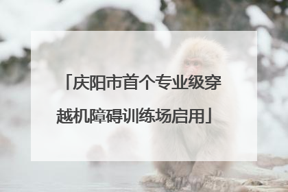 庆阳市首个专业级穿越机障碍训练场启用
