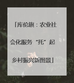 库伦旗：农业社会化服务“托”起乡村振兴新图景