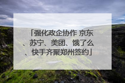 强化政企协作 京东、苏宁、美团、饿了么、快手齐聚郑州签约
