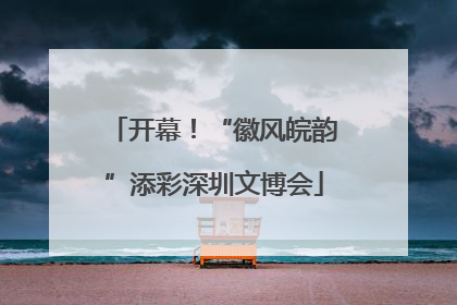 开幕！“徽风皖韵”添彩深圳文博会