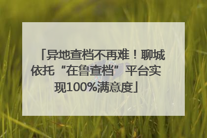 异地查档不再难！聊城依托“在鲁查档”平台实现100%满意度