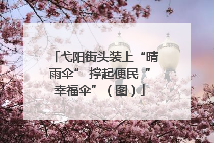 弋阳街头装上“晴雨伞” 撑起便民“幸福伞”（图）