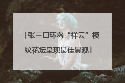 张三口环岛“祥云”模纹花坛呈现最佳景观