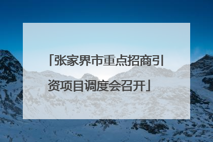 张家界市重点招商引资项目调度会召开