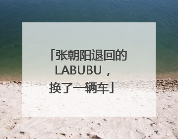 张朝阳退回的LABUBU，换了一辆车
