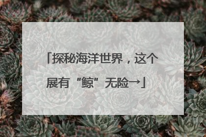探秘海洋世界，这个展有“鲸”无险→
