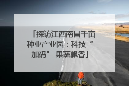 探访江西南昌千亩种业产业园：科技“加码” 果蔬飘香