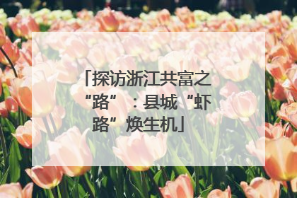 探访浙江共富之“路”：县城“虾路”焕生机
