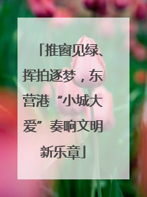 推窗见绿、挥拍逐梦，东营港“小城大爱”奏响文明新乐章