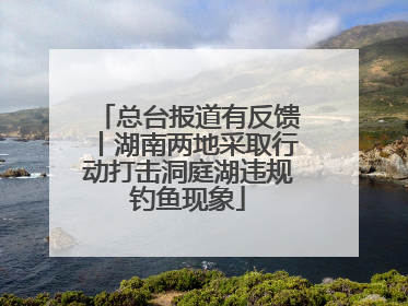 总台报道有反馈丨湖南两地采取行动打击洞庭湖违规钓鱼现象