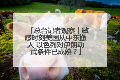总台记者观察丨敏感时刻美国从中东撤人 以色列对伊朗动武条件已成熟？