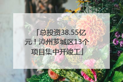 总投资38.55亿元！漳州芗城区13个项目集中开竣工