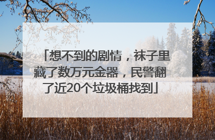 想不到的剧情，袜子里藏了数万元金器，民警翻了近20个垃圾桶找到