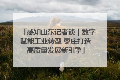 感知山东记者谈｜数字赋能工业转型 枣庄打造高质量发展新引擎