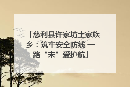 慈利县许家坊土家族乡：筑牢安全防线 一路“未”爱护航