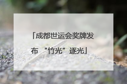 成都世运会奖牌发布 “竹光”逐光
