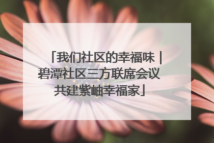 我们社区的幸福味｜碧潭社区三方联席会议共建紫岫幸福家