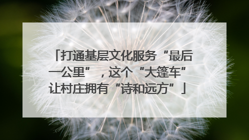 打通基层文化服务“最后一公里”，这个“大篷车”让村庄拥有“诗和远方”