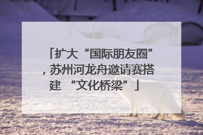 扩大“国际朋友圈”，苏州河龙舟邀请赛搭建 “文化桥梁”