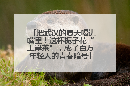把武汉的夏天喝进嘴里！这杯栀子花“上岸茶”，成了百万年轻人的青春暗号