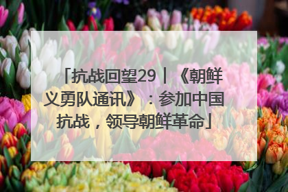 抗战回望29︱《朝鲜义勇队通讯》：参加中国抗战，领导朝鲜革命