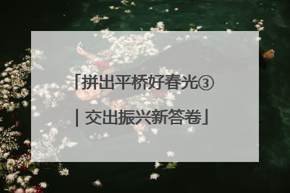 拼出平桥好春光③｜交出振兴新答卷