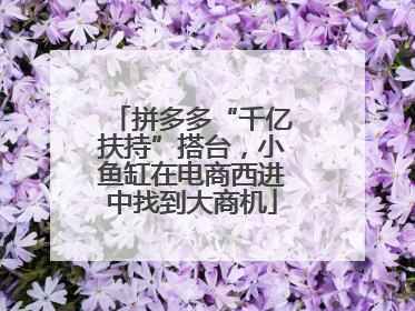 拼多多“千亿扶持”搭台，小鱼缸在电商西进中找到大商机