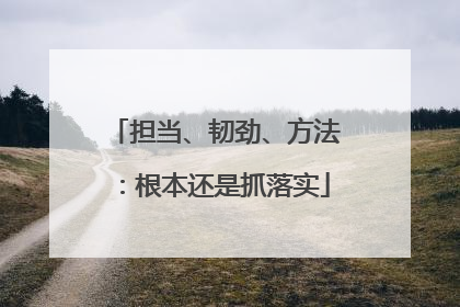 担当、韧劲、方法：根本还是抓落实