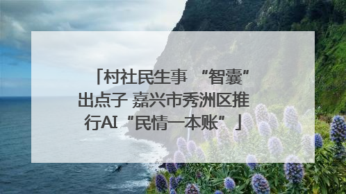 村社民生事 “智囊”出点子 嘉兴市秀洲区推行AI“民情一本账”