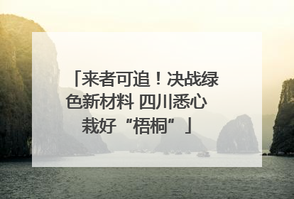 来者可追！决战绿色新材料 四川悉心栽好“梧桐”