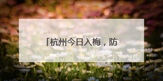 杭州今日入梅，防潮除湿怎么办？已有不少人开始备货