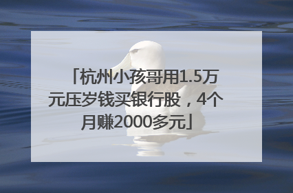 杭州小孩哥用1.5万元压岁钱买银行股，4个月赚2000多元