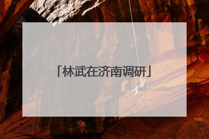 林武在济南调研
