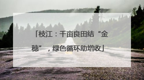 枝江：千亩良田结“金穗”，绿色循环助增收
